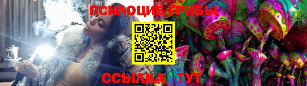 Галлюциногенные грибы Psilocybe  Вход с VPN  Аксай 
